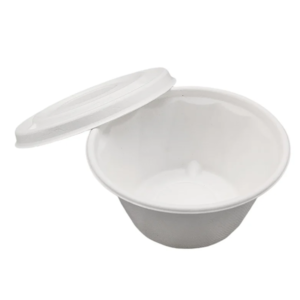 Bagasse product Take Away Box